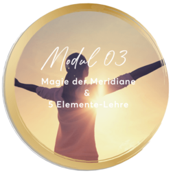 Mirja Lang - online Ausbildung zum Lifecoach & Intuitionscoach - Modul 03: Magie der Meridiane & 5 Elemente-Lehre