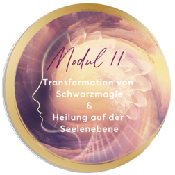 Mirja Lang - online Ausbildung zum Lifecoach & Intuitionscoach - Modul 11: Transformation von Schwarzmagie & Heilung auf der Seelenebene