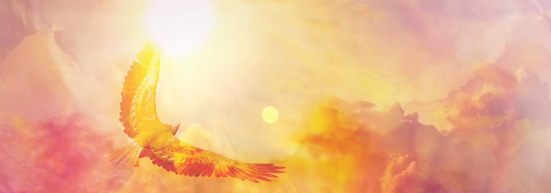 Adler mit ausgebreiteten Schwingen der vor einem Hintergrund aus Sonne und rot-orange-gelb-rosa Wolken schwebt