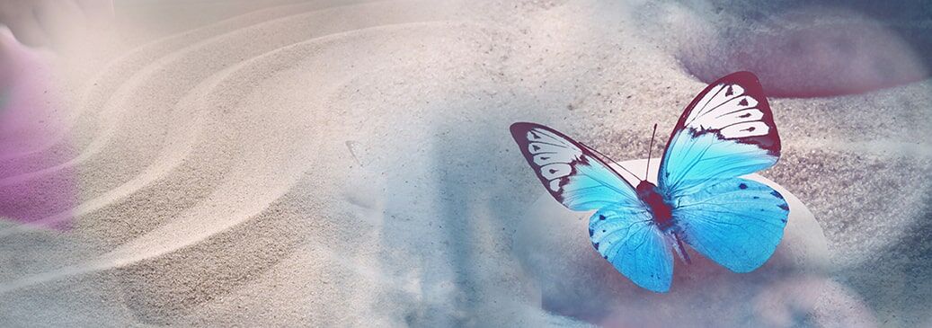 blau-schwarz-weißen Schmetterling mit feinem Sand und gezogenen Linien im Hintergrund